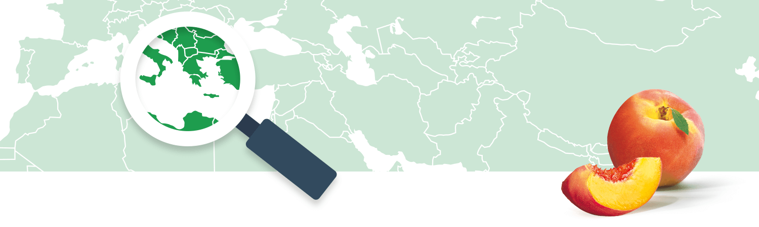 A magnifying glass focuses on a green region of a world map, while a peach is sliced in half, revealing its vibrant interior.