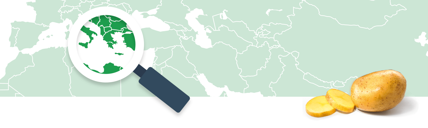 A magnifying glass focuses on a region of a world map, while a potato and its slices are displayed to the right.