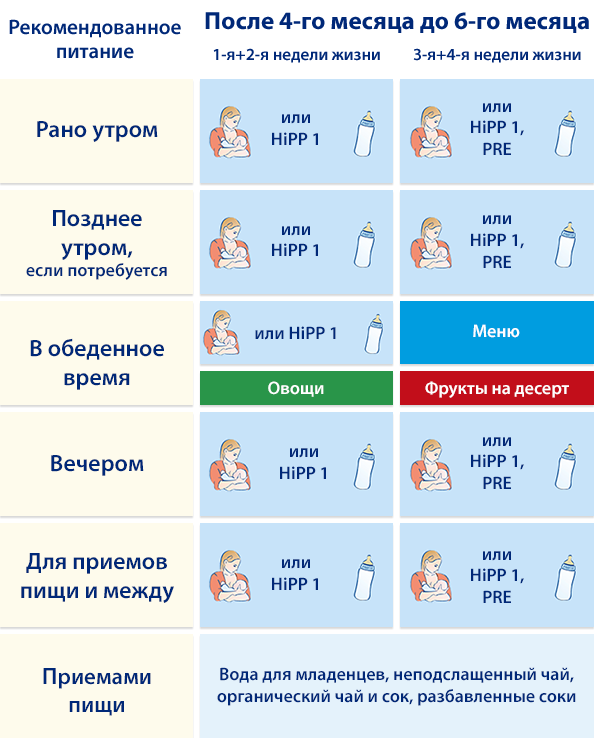 План питания ребенка в 6 месяцев