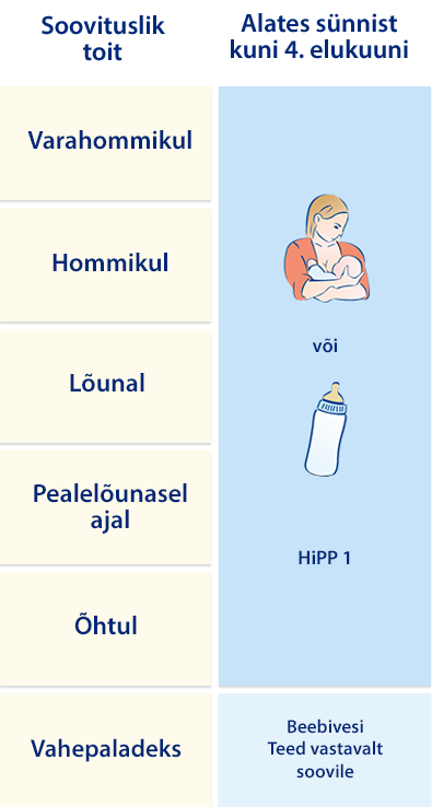 Struktureeritud skeem, kus vasakul on nimekiri punktidest ja paremal vastavad tegevused, millele on lisatud illustratsioonid.